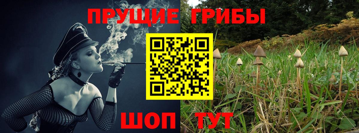 Углич  Галлюциногенные грибы мухоморы  Вход с VPN 
